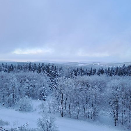 Ferienwohnung Skadi, Hahnenklee Goslar Esterno foto