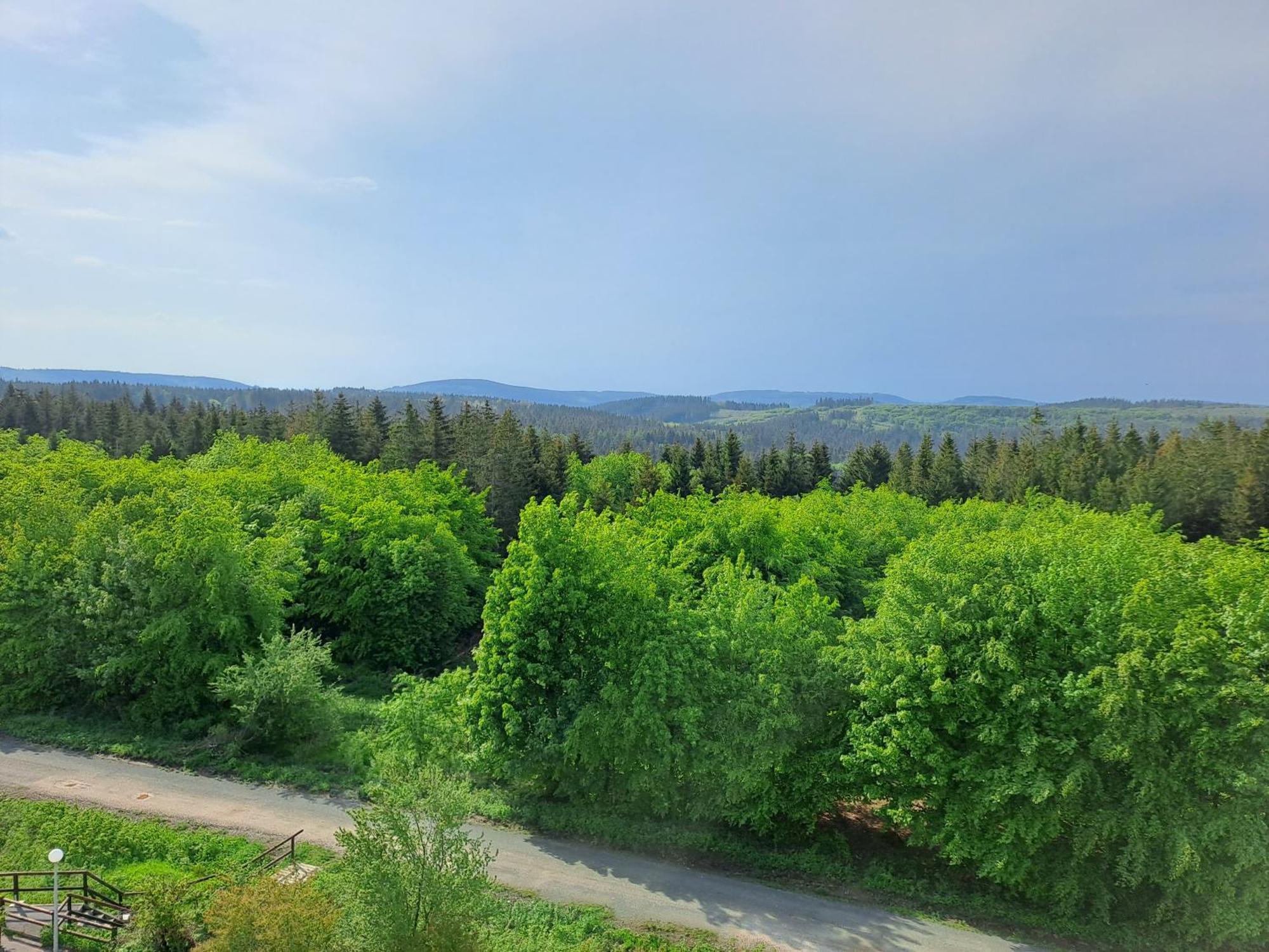 Ferienwohnung Skadi, Hahnenklee Goslar Esterno foto